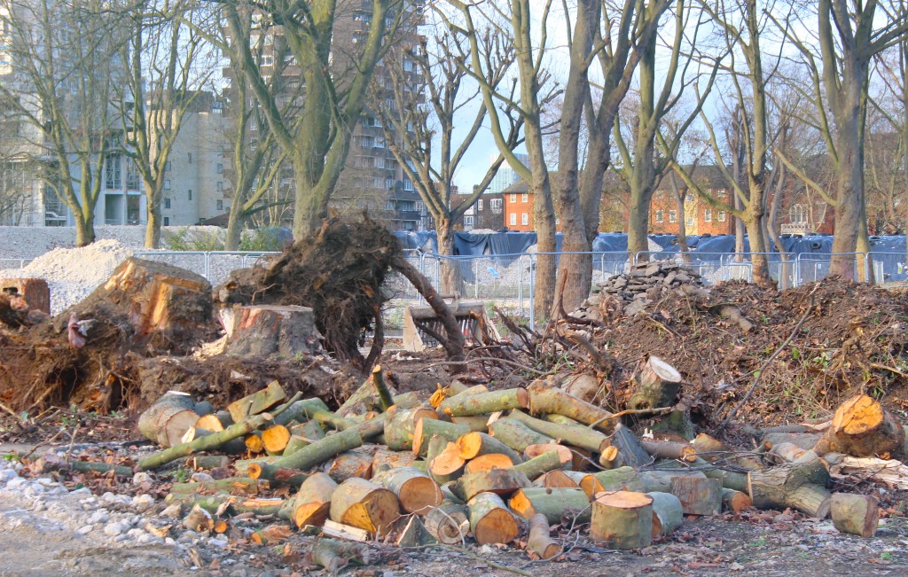 'Removed' mature Heygate trees will be 'replaced' say council and developer © London Intelligence 2014