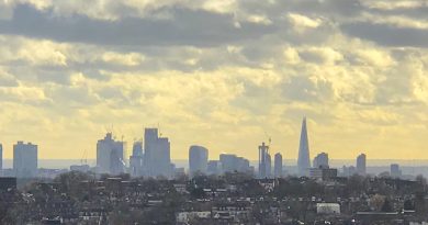 London's skyline as seen from Alexandra Palace © London Intelligence ®